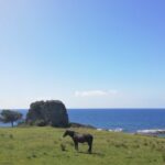 la-spiaggia-di-torre-caleo-ad-acciaroli-cilento-il-cilentano